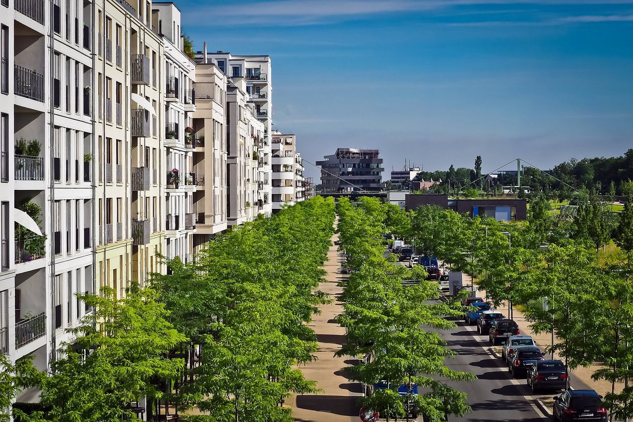Residential buildings in street lined with trees.