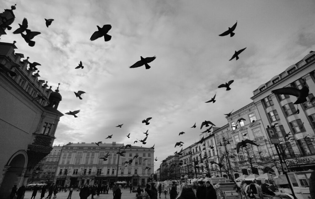 Market Square in Krakow, Poland
