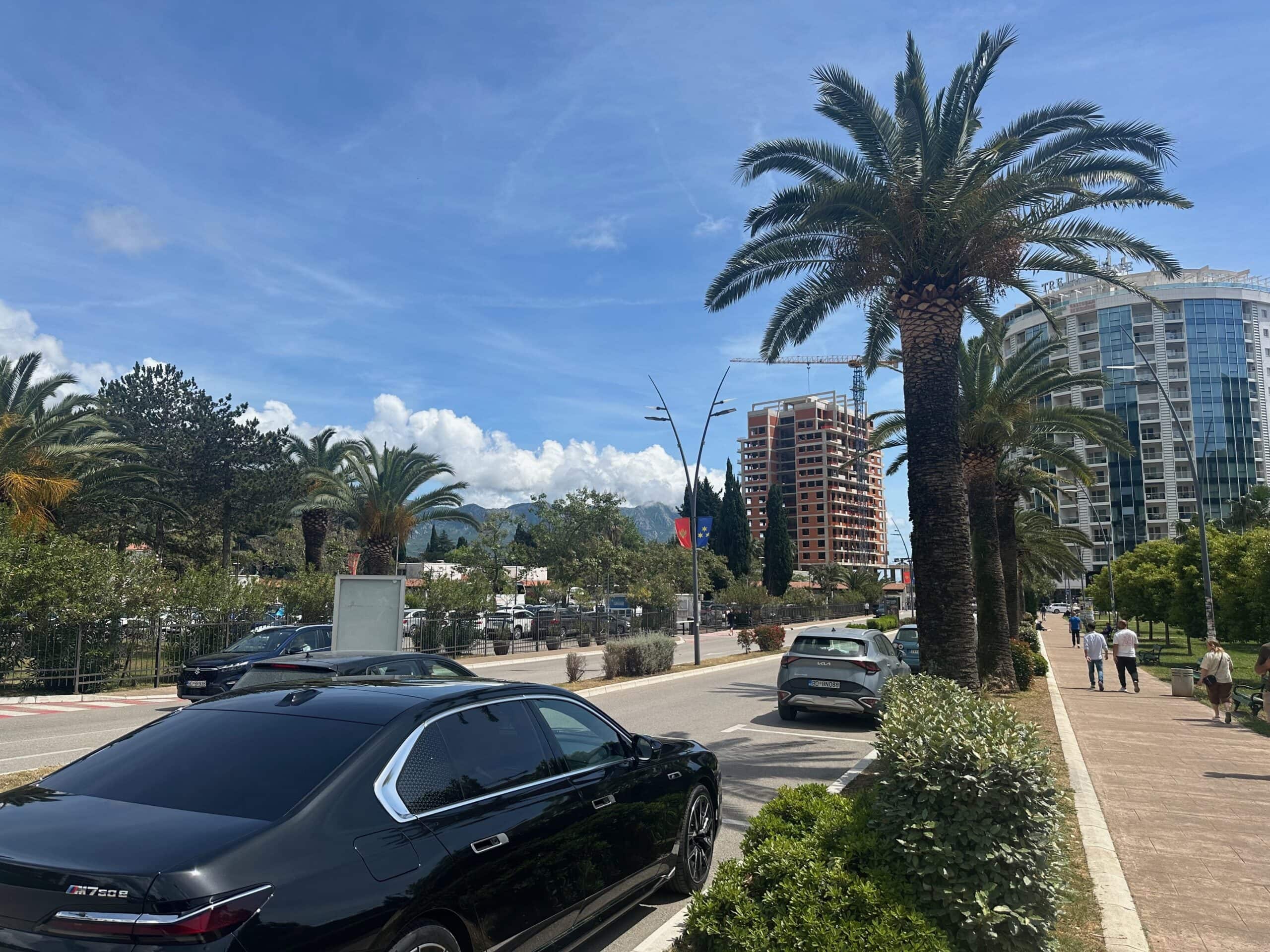 Street with some parked cars, lined with palm trees and two large residential blocks of flats in the background, in Budva, Montenegro